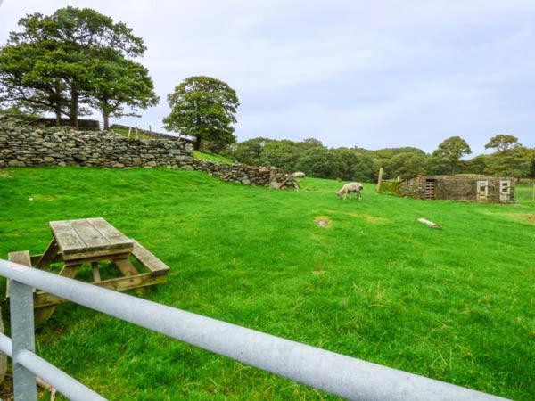 Vila Y Bwthyn Llanbedr  Exteriér fotografie