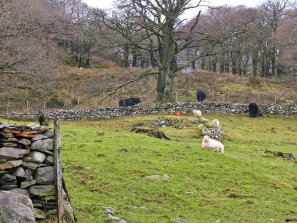 Vila Y Bwthyn Llanbedr  Exteriér fotografie