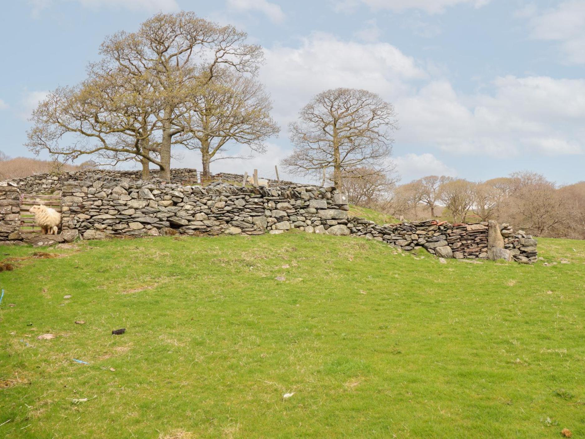 Vila Y Bwthyn Llanbedr  Exteriér fotografie